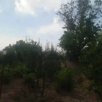 فروش باغ ویلا ۱۰۰۰ متری|فروش خانه و ویلا|تیران, |دیوار