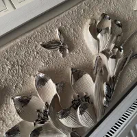 قاب نو|تابلو، نقاشی، عکس|شیراز, آزادگان|دیوار