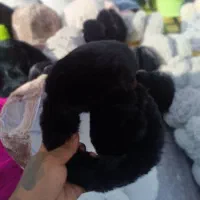 کلاه شال گردن گوشگیر|لباس|فردوس (خراسان), |دیوار