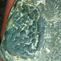 فروش سنگ راف|جواهرات|گنبد کاووس, |دیوار