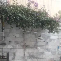 نیروی نظافت 35 ساله آقا هستم