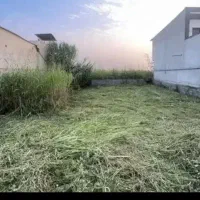 زمین-قابل-ساخت-جنگلی-236متر-تهاتر-خودرو