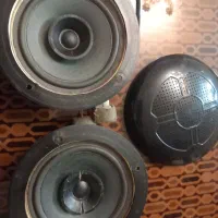 باند معاوضه با طوطی برزیلی