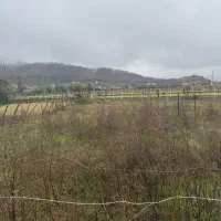 ۲۰۰ متر زمین مسکونی سند دار ماسال وشمه سرا