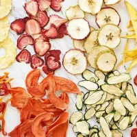 میوه خشک کن|سایر لوازم برقی|شیروان (خراسان), |دیوار