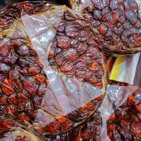 خرما فروشی درجه یک مرداسنگ کیلو 110میناب