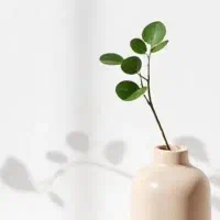 زمین جانبازان۱۲۸متر  زیر قیمت فی بفروش می‌رسد