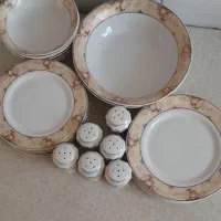 ظروف چینی