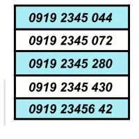 0919.50.60.876|سیم‌کارت|ری, صفاییه (چشمه علی)|دیوار