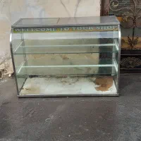 ویترین جگرکی