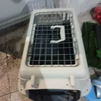 باکس حیوانات