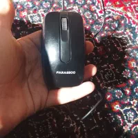موس سالم سالم