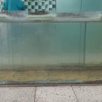 آکواریوم
