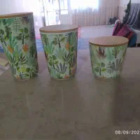 ظروف بامبو