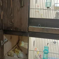 قفس طوطی دوطبقه ضد آب|لوازم جانبی حیوانات|کرج, دولت‌آباد|دیوار