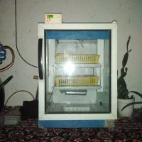 دستگاه جوجه کشی