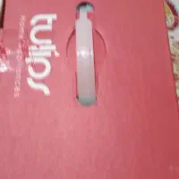 اتو بخار تولیپس