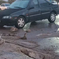 پژو ۸۳ مشکی ، ماشین تهرانه بدون ذره‌ای پوسیدگی