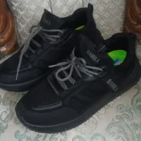 دو جفت کفش یک جفت رامیلا یک جفت طبی شهریار