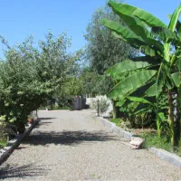 فروش ویلا ۵۰۰۰ متری استخردار  در تالش لیسار