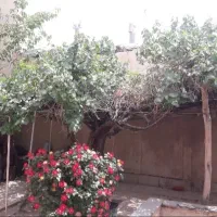 فروش ویلایی ۲۰۰ متر جنوبی بهترین فرعی عارف|فروش خانه و ویلا|شاهین‌شهر, فیض|دیوار