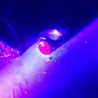 یاقوت سرخ آفریقایی اصل ومعدنی|جواهرات|رشت, منظریه|دیوار