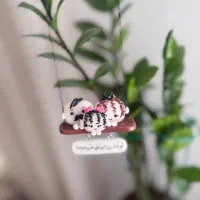 گالری دیوا