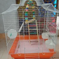 قفس پرنده با تمامی تجهیزات سرگرمی پرنده