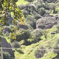 باغ-600متری-معاوضه-باماشین