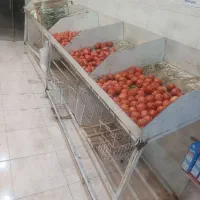 قفسه میوه