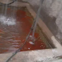 ماهی گلی شب عید|ماهی|قم, قلعه یزدیها|دیوار