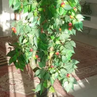 درخت مصنوعی