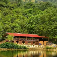 پلاک ماشین گم کردم