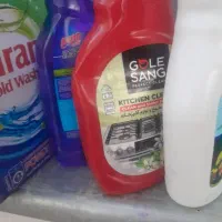 نیروی کاری/ خانم مجرد/ نظافت منزل