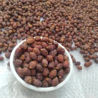 فروش خرمای آجیلی شکلاتی خاصویی (ریزه خاصویی) جم|خوردنی و آشامیدنی|جم, |دیوار