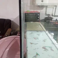 اکواریوم۱۰میل سوپر کلیر سکوریت بزرگ نونو|ماهی|تبریز, |دیوار