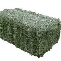 یونجه پرس
