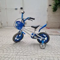 یک عدد دوچرخه