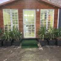 استخدام کارگر کارواش|استخدام سرایداری و نظافت|علی‌آباد کتول, |دیوار