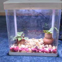 آکواریوم دلسا