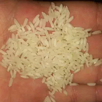 برنج(برنج طارم هاشمی )|خوردنی و آشامیدنی|بهشهر, |دیوار