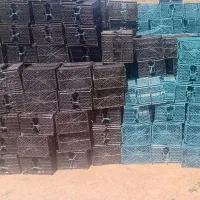 سبدپرثقال یانارنگی