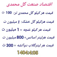 فروش نهال گل محمدی اصلاح شده بدون خار|خدمات باغبانی و درختکاری|نیشابور, مبارکه|دیوار