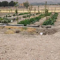 زمین باغ ویلایی سند ۶ دانگ تک برگ با درختان ۲ ساله|فروش زمین و ملک کلنگی|اصفهان, خاتون‌آباد|دیوار