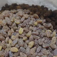 کشمش پاک شده