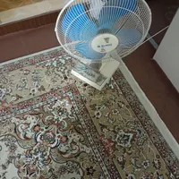 پنکه سالم