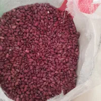 فروش نخود و لوبیا چیتی و لوبیا قرمز و لوبیاکپسولی|خوردنی و آشامیدنی|بندرعباس, |دیوار