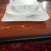 ظروف چینی