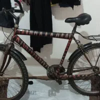 دوچرخه|دوچرخه، اسکیت، اسکوتر|قدس, شهر‌قدس|دیوار