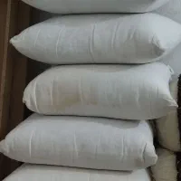 پشتی